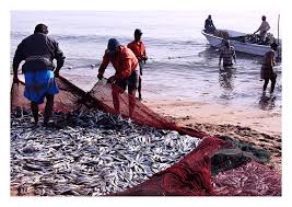 A fisher man bringing in his nets